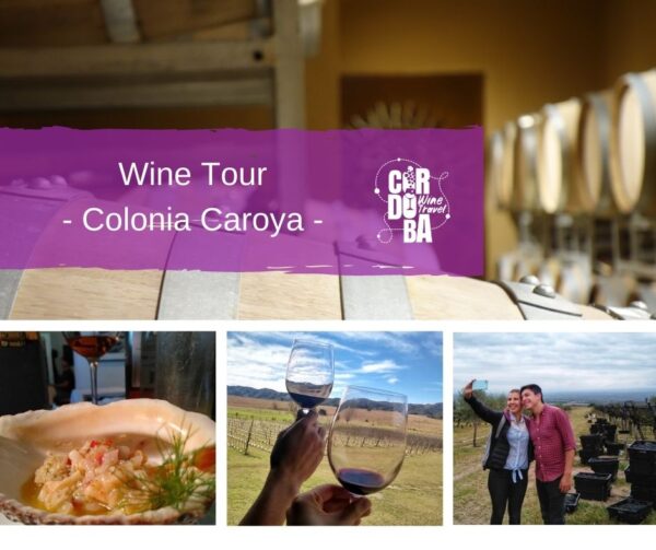 Wine Tour Colonia Caroya