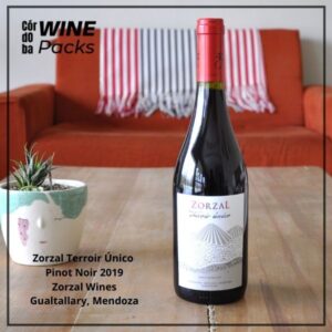 Vino Zorzal Terroir Unico Pinot Noir