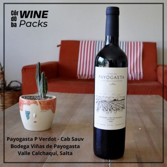 Vino Payogasta Petit Verdot Cab Sauvignon