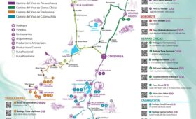 Mapa Caminos del Vino 2025 frente