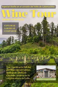 Wine Tour Las Cañitas